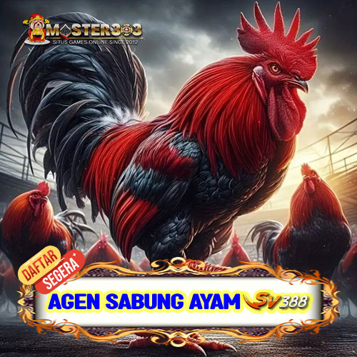 Sabung Ayam SV388