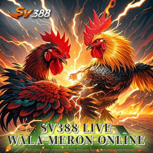 Sabung Ayam Online