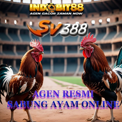 SV388: Link Alternatif Agen Taruhan Sabung Ayam Online Wala Meron