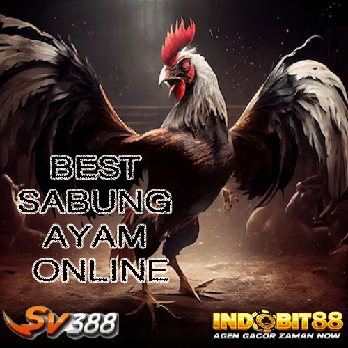 SV388: Daftar Link Sabung Ayam Online Agen Judi Resmi