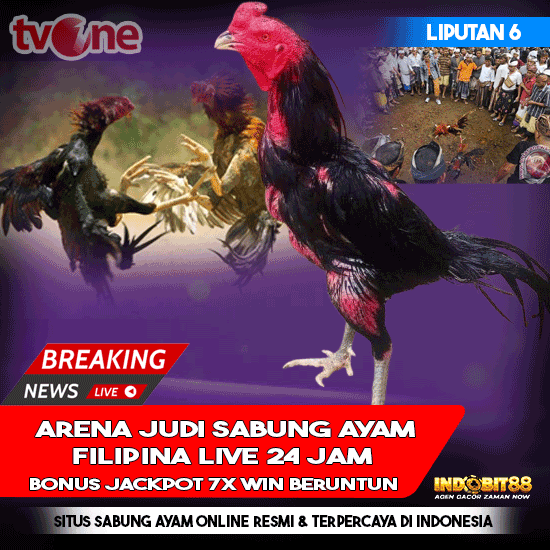 SV388 🐔 Link Resmi Judi Sabung Ayam Online Live 24 Jam Terpercaya