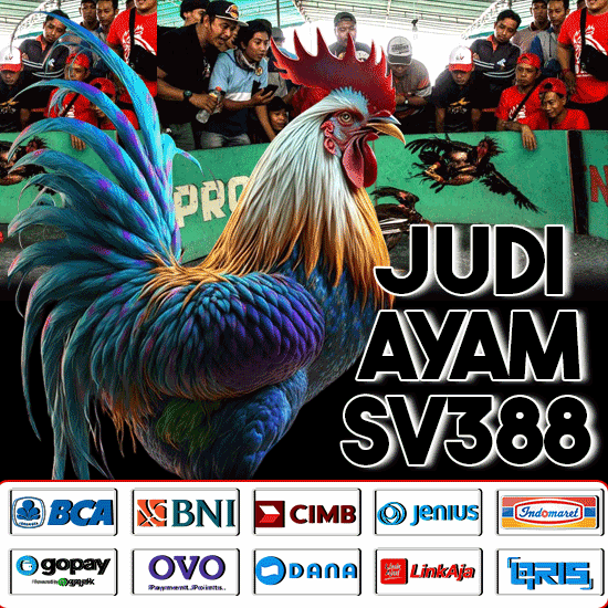 SV388 🐔 Bandar Taruhan Sabung Ayam Online Bali Terbesar No 1 Di Indonesia 2024