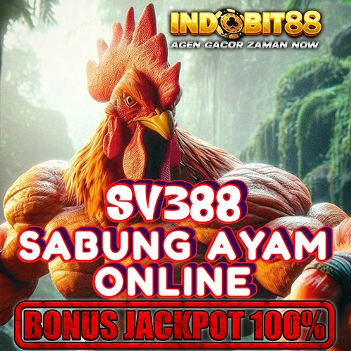 SV388 > Situs Sabung Ayam Online Resmi Taruhan Wala Meron Terbaik