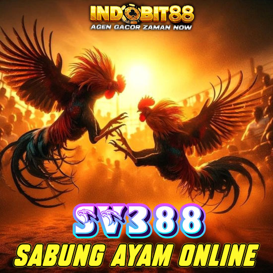 SV388 🐔 Agen Sabung Ayam Online Resmi Wala Meron Terbesar Live 24 Jam Se-Asia