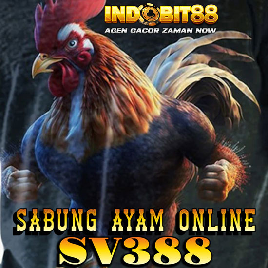 laloika-sabung-ayam.jpg