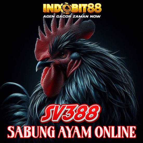 SV388 🐔 Situs Sabung Ayam Online Taruhan Resmi Wala Meron 24 Jam