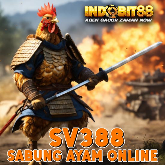 SV388 🐔 Agen Taruhan Sabung Ayam Online Resmi Wala Meron Terpercaya