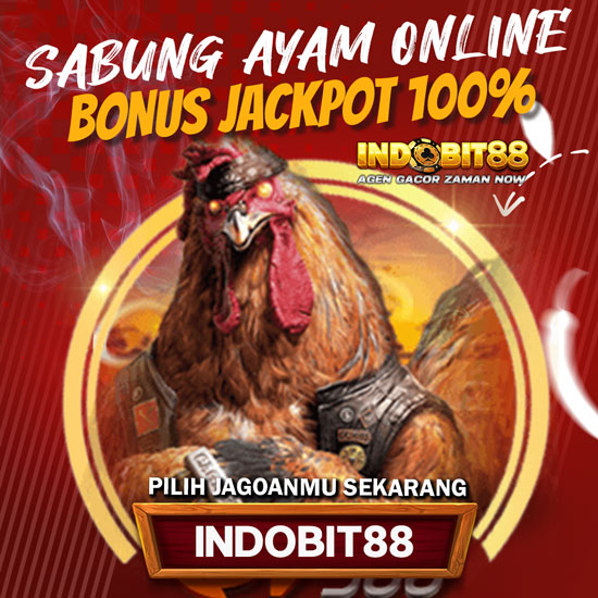 SV388 🐔 Situs Pilihan NO 1 Sabung Ayam Online Resmi 24 Jam Terpercaya