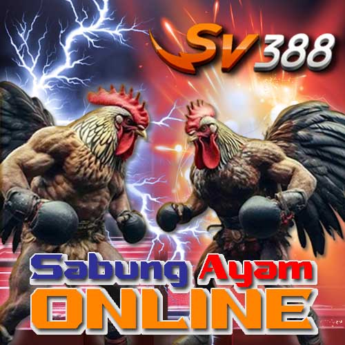 sabung ayam online