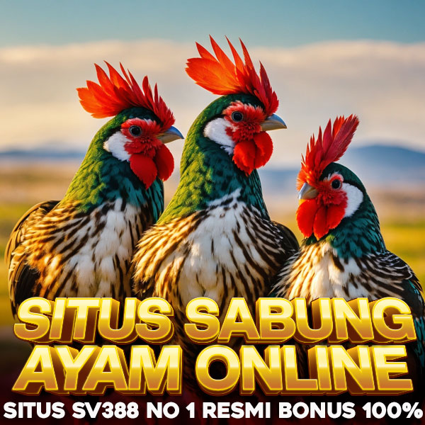 SV388 ⚡ Agen Situs Sabung Ayam Online No 1 Live 24 Jam Resmi